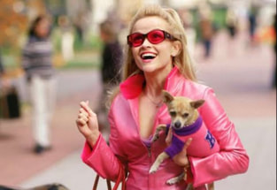 Reese Witherspoon as Elle Woods in Legally Blonde